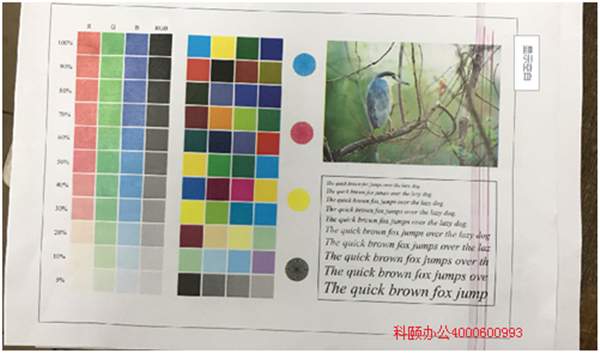 柯尼卡美能達復印機C210打印有紅色線效果圖-科頤辦公